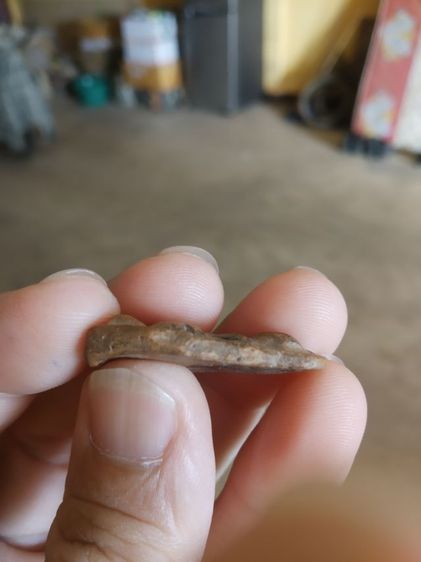 พระเนื้อดินพิมพ์กลาง(พระพิมพ์พระเชตุพนพิมพ์บัวสองชั้น(พระกรุเนื้อดิน)กรุวัดมหาธาตุ(จังหวัดสุโขทัย)(ไม่ทราบอายุ))พระบ้านพระเครื่องรางของมงคล รูปที่ 13