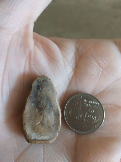 พระเนื้อดินพิมพ์กลาง(พระพิมพ์พระเชตุพนพิมพ์บัวสองชั้น(พระกรุเนื้อดิน)กรุวัดมหาธาตุ(จังหวัดสุโขทัย)(ไม่ทราบอายุ))พระบ้านพระเครื่องรางของมงคล รูปที่ 10