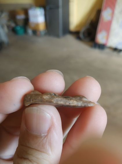 พระเนื้อดินพิมพ์กลาง(พระพิมพ์พระเชตุพนพิมพ์บัวสองชั้น(พระกรุเนื้อดิน)กรุวัดมหาธาตุ(จังหวัดสุโขทัย)(ไม่ทราบอายุ))พระบ้านพระเครื่องรางของมงคล รูปที่ 15