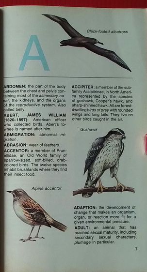 หนังสือ THE CONCISE ENCYCLOPEDIA OF BIRDS รูปที่ 7