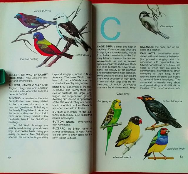 หนังสือ THE CONCISE ENCYCLOPEDIA OF BIRDS รูปที่ 10