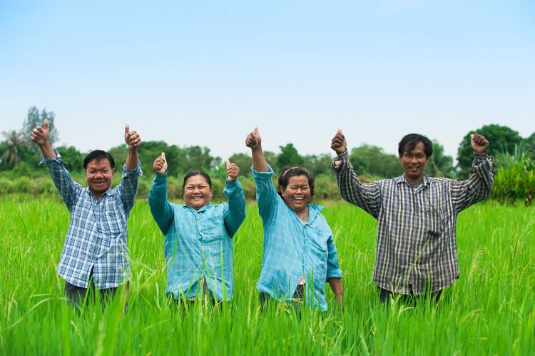 สารเพิ่มประสิทธิภาพดินและพืช(ชนิดผง) รูปที่ 2