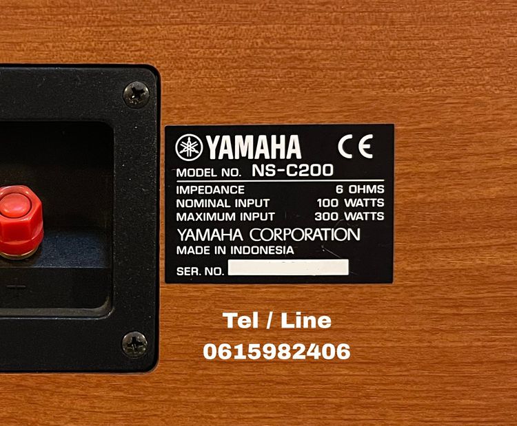Yamaha NS-C200 Center รูปที่ 10
