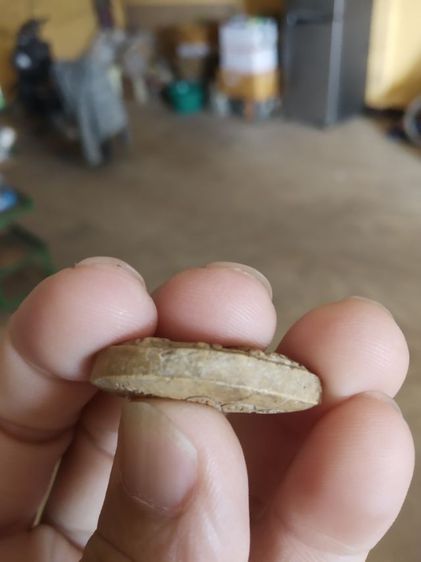 พระเนื้อผง(พระรูปเหมือนพระครูบาศรีวิไชย(ไม่ทราบพระเกจิที่สร้าง))พระบ้านพระเครื่องรางของมงคล รูปที่ 14