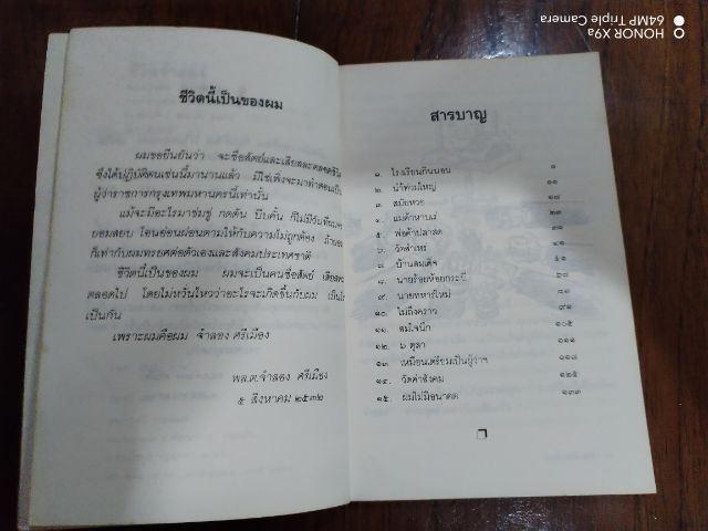 ชีวิต​จำลอง​ รูปที่ 3