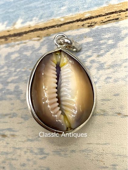 จี้เงิน หอยเบี้ยA1 รูปที่ 2