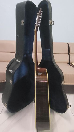 กีต้าร์โปร่งวินเทจไฟฟ้า ยี่ห้อMorris​ รุ่น W-50  Made In Japan 1970's ​พร้อมติดภาคไฟฟ้า Vertech vs-6mv พร้อมใช้ กับhardcase Vintage Japan รูปที่ 11