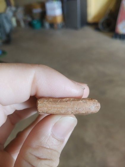 พระเนื้อดินพิมพ์ใหญ่(พระพิมพ์พระยอดขุนพลหลังเรียบ(ไม่ทราบพระเกจิที่สร้าง)(ไม่ทราบรุ่นและอายุ)(200201))พระบ้านพระเครื่องรางของมงคล รูปที่ 14