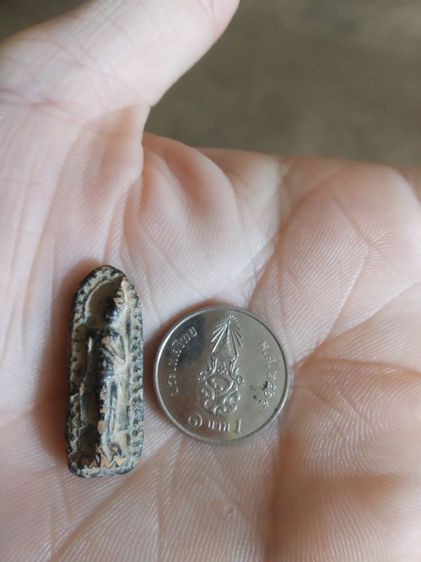 พระเนื้อดินผสมผงใบลานพิมพ์เล็ก(พระปางลีลากำแพงทุ่งเศรษฐีข้างเม็ดพระลีลากำแพงเม็ดขนุนข้างเม็ด(170311)(ไม่ทราบเกจิที่สร้าง))พระเครื่องของมงคล รูปที่ 7