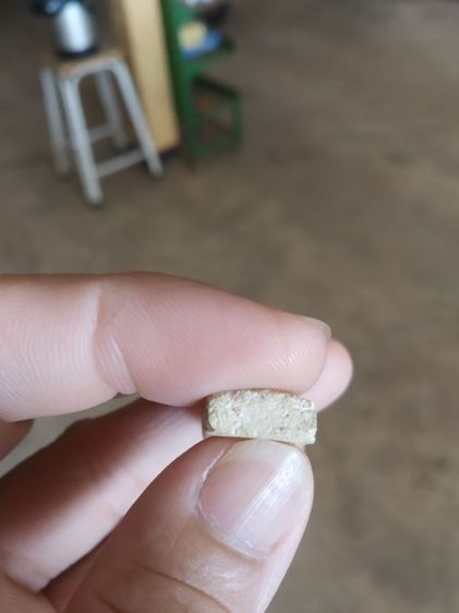 พระเนื้อว่านผสมผง(พระปางลีลากำแพงทุ่งเศรษฐีเรือพระปางลีลากำแพงเขย่งพิมพ์ห้าเหลี่ยม(ไม่ทราบพระเกจิ))พระบ้านพระเครื่องรางของมงคล รูปที่ 18