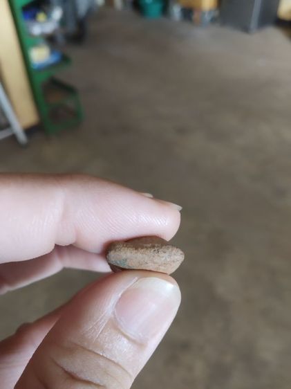 พระเนื้อดิน(พระปางลีลากำแพงเม็ดขนุนเนื้อพระปางลีลากำแพงเขย่ง(ไม่ทราบพระเกจิที่สร้าง)(170305))พระบ้านพระเครื่องรางของมงคล รูปที่ 13