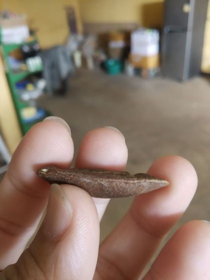 พระเนื้อดินผสมผง(พระปางลีลากำแพงทุ่งเศรษฐีข้างเม็ดหรือพระปางลีลากำแพงเขย่งข้างเม็ด(170310)(ไม่ทราบเกจิที่สร้าง))พระบ้านพระเครื่องรางของมงคล รูปที่ 15