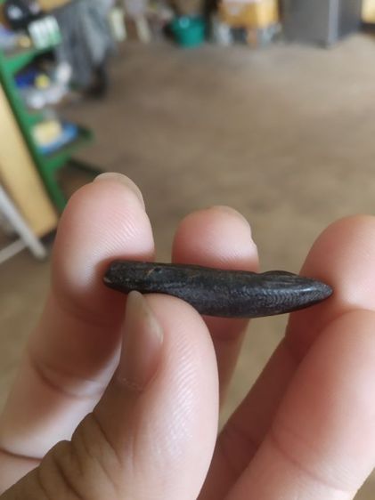 พระเนื้อดินผสมผงใบลาน(พระปางลีลากำแพงเม็ดขนุนหรือพระปางลีลากำแพงเขย่ง(ทุ่งเข็ม)(170315)(ไม่ทราบพระเกจิที่สร้าง))พระบ้านพระเครื่องรางของมงคล รูปที่ 14