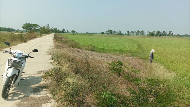 ขายที่ดินจำนวน2ไร่1งาน67 ตารางวา ใกล้ อบต.ตำบล ยางซ้าย อำเภอ โพธิ์ทอง อ่างทอง รูปที่ 2