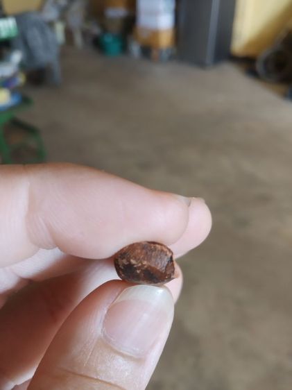 พระเนื้อดิน(พระรูปลอยพระปางรำพึง(ไม่ทราบพระเกจิที่สร้างปี2552))พระบ้านพระเครื่องรางของมงคล รูปที่ 17