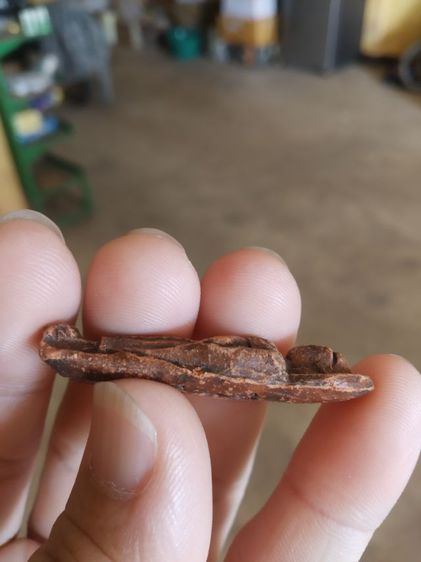 พระเนื้อดิน(พระรูปลอยพระปางรำพึง(ไม่ทราบพระเกจิที่สร้างปี2552))พระบ้านพระเครื่องรางของมงคล รูปที่ 13