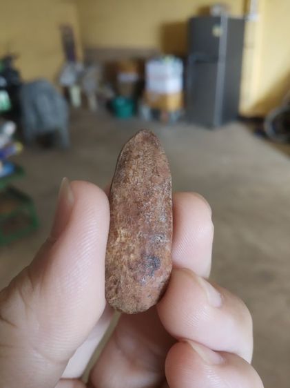 พระเนื้อดิน(พระปางลีลากำแพงทุ่งเศรษฐี(พระปางลีลากำแพงเม็ดขนุน)(180380)(ไม่ทราบพระเกจิที่สร้าง))พระบ้านพระเครื่องรางของมงคล รูปที่ 10