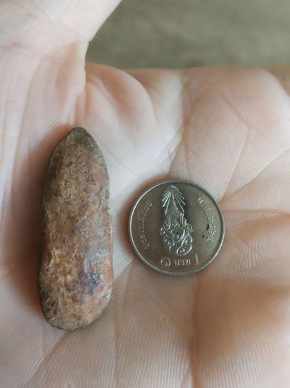 พระเนื้อดิน(พระปางลีลากำแพงทุ่งเศรษฐี(พระปางลีลากำแพงเม็ดขนุน)(180380)(ไม่ทราบพระเกจิที่สร้าง))พระบ้านพระเครื่องรางของมงคล รูปที่ 6