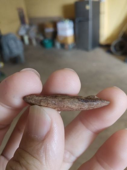 พระเนื้อดิน(พระปางลีลากำแพงทุ่งเศรษฐี(พระปางลีลากำแพงเม็ดขนุน)(180380)(ไม่ทราบพระเกจิที่สร้าง))พระบ้านพระเครื่องรางของมงคล รูปที่ 16