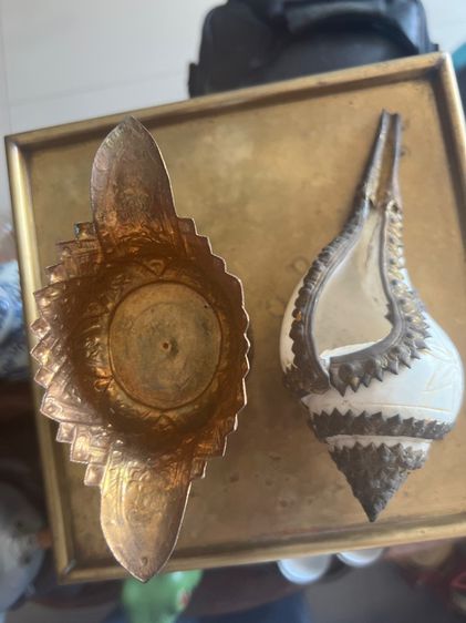 หอยสังมงคลโบราณ รูปที่ 3