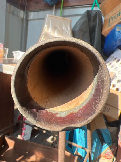 ไม้ไฝ่โบราณ รูปที่ 5