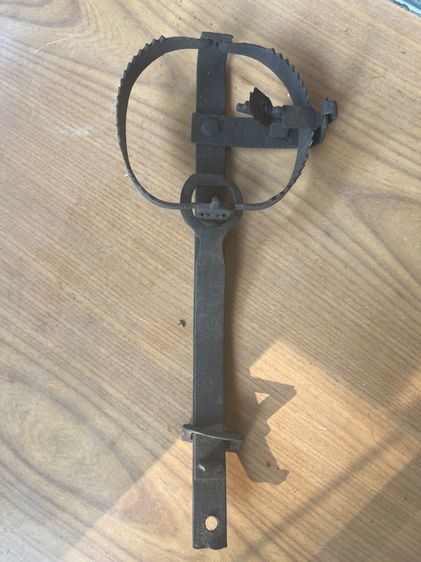 กับหลักสัตว์โบราณ รูปที่ 2