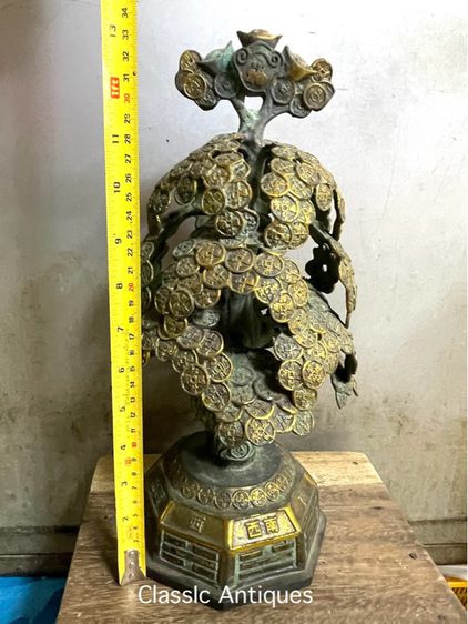 ต้นไม้ เงินต้นทอง ทองเหลืองสะสม รูปที่ 12