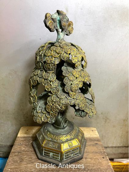 ต้นไม้ เงินต้นทอง ทองเหลืองสะสม รูปที่ 7