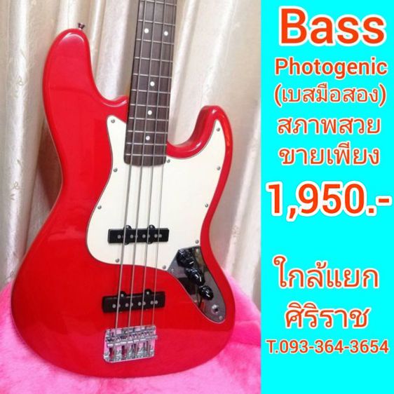 Photogenic Bass เบส 4 สาย สีสวย สภาพสวย (ไม่มีกระเป๋าครับ) ใกล้แยกศิริราช สนใจ t. 10:30-16:30น. รูปที่ 4