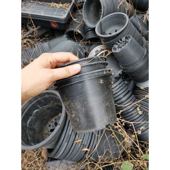 กระถางต้นไม้มือสอง คุณภาพดี ขายแพคละ 10 กระถาง ราคาถูกมากๆค่ะ มารับเองลดราคาให้อีกค่ะ รูปที่ 8