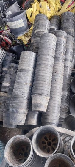 กระถางต้นไม้มือสอง คุณภาพดี ขายแพคละ 10 กระถาง ราคาถูกมากๆค่ะ มารับเองลดราคาให้อีกค่ะ รูปที่ 9