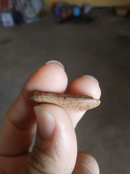 พระเนื้อดิน(พระปางนาคปรกหลังเรียบ(190305)(ไม่ทราบพระเกจิที่สร้าง))พระบ้านพระเครื่องรางของมงคล รูปที่ 11