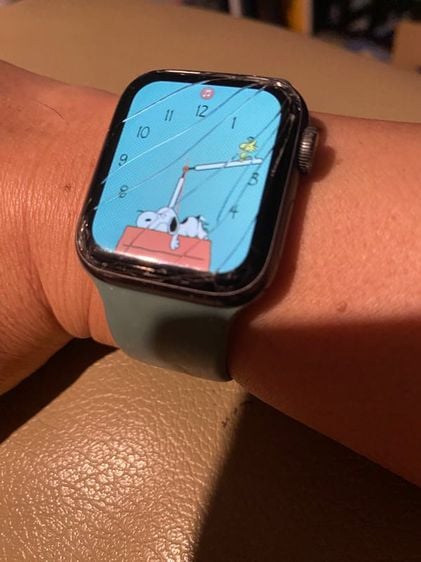 อื่นๆ ดำ Apple Watch SE
