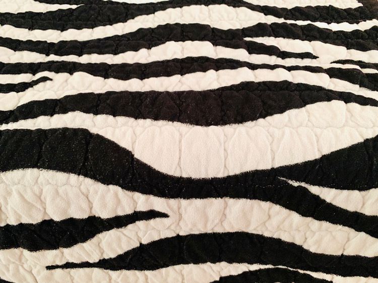 ผ้าปูรองนอน (แบบหนา) ขนาด 4.5-5ฟุต สีขาวดำกำมะหยี่ลายม้าลาย มือสองสภาพดี สินค้าญี่ปุ่น-เกาหลีแท้ รูปที่ 5