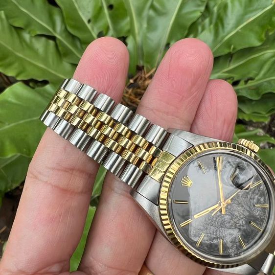 ROLEX OYSTER PERPETUAL DATEJUST  Vignette Black Dial (King)
 รูปที่ 3