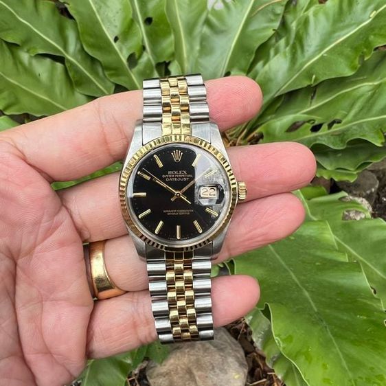 ROLEX OYSTER PERPETUAL DATEJUST  Vignette Black Dial (King)
 รูปที่ 1