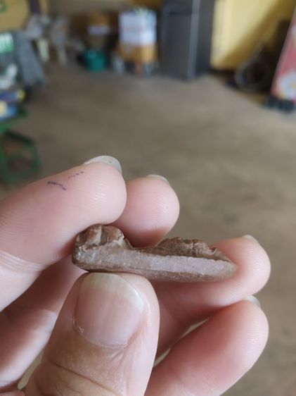 พระเนื้อดินผสมผง(พระพ่อปู่ฤาษีนารอดหลังเรียบ(130203)(เป็นเนื้อผสมออกสีแดง)(ไม่ทราบพระเกจิที่สร้าง))พระบ้านพระเครื่องรางของมงคล รูปที่ 18