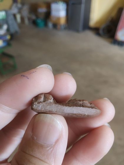 พระเนื้อดินผสมผง(พระพ่อปู่ฤาษีนารอดหลังเรียบ(130203)(เป็นเนื้อผสมออกสีแดง)(ไม่ทราบพระเกจิที่สร้าง))พระบ้านพระเครื่องรางของมงคล รูปที่ 15