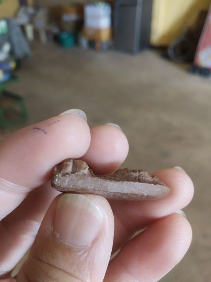 พระเนื้อดินผสมผง(พระพ่อปู่ฤาษีนารอดหลังเรียบ(130203)(เป็นเนื้อผสมออกสีแดง)(ไม่ทราบพระเกจิที่สร้าง))พระบ้านพระเครื่องรางของมงคล รูปที่ 17