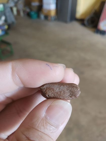 พระเนื้อดินผสมผง(พระพ่อปู่ฤาษีนารอดหลังเรียบ(130203)(เป็นเนื้อผสมออกสีแดง)(ไม่ทราบพระเกจิที่สร้าง))พระบ้านพระเครื่องรางของมงคล รูปที่ 13