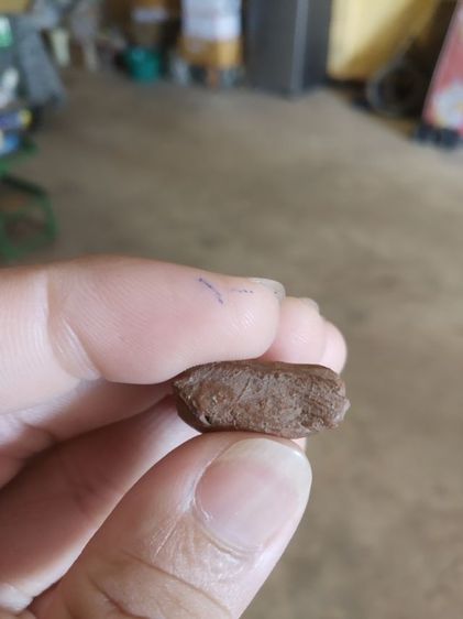 พระเนื้อดินผสมผง(พระพ่อปู่ฤาษีนารอดหลังเรียบ(130203)(เป็นเนื้อผสมออกสีแดง)(ไม่ทราบพระเกจิที่สร้าง))พระบ้านพระเครื่องรางของมงคล รูปที่ 12