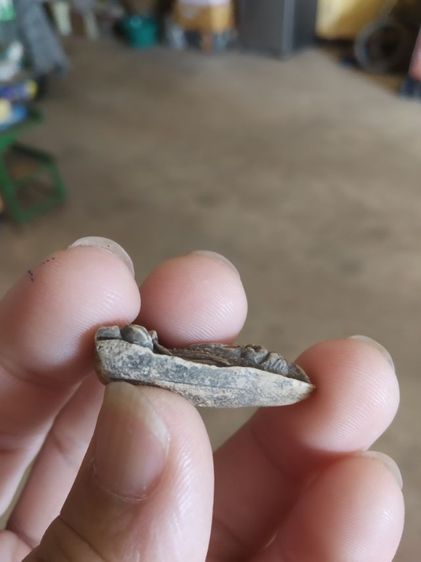 พระเนื้อผงผสมผงว่าน(พระพ่อปู่ฤาษีนารอดหลังเรียบ(130205)(ไม่ทราบพระเกจิที่สร้าง))พระบ้านพระเครื่องรางของมงคล รูปที่ 16