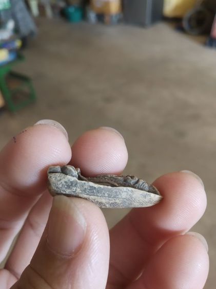 พระเนื้อผงผสมผงว่าน(พระพ่อปู่ฤาษีนารอดหลังเรียบ(130205)(ไม่ทราบพระเกจิที่สร้าง))พระบ้านพระเครื่องรางของมงคล รูปที่ 14