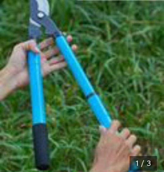 กรรไกรคีมปากนกแก้ว รูปที่ 2