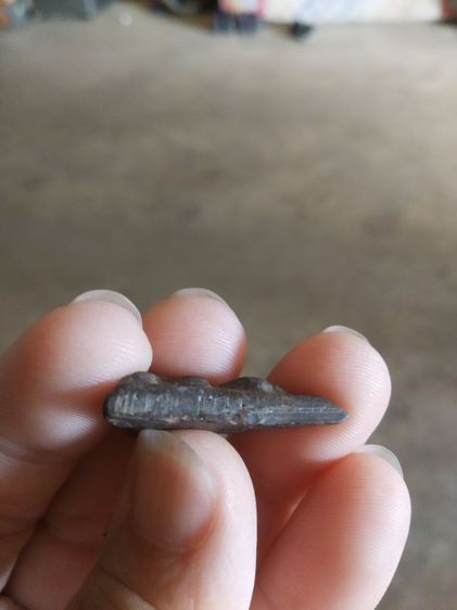 พระเนื้อดินผสมผงใบลานพิมพ์เล็ก(พระพิมพ์พระนางพญาหลังเรียบ(130223)(ไม่ทราบพระเกจิที่สร้าง))พระบ้านพระเครื่องรางของมงคล รูปที่ 18