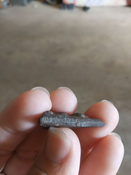 พระเนื้อดินผสมผงใบลานพิมพ์เล็ก(พระพิมพ์พระนางพญาหลังเรียบ(130223)(ไม่ทราบพระเกจิที่สร้าง))พระบ้านพระเครื่องรางของมงคล รูปที่ 16