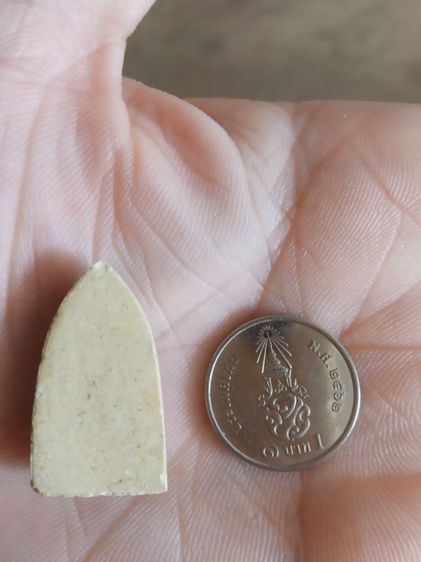 พระเนื้อผง(พระผงพิมพ์พระรอดหลังเรียบเนื้อออกสีเหลือง(ไม่ทราบพระเกจิที่สร้าง))พระบ้านพระเครื่องรางของมงคล รูปที่ 7