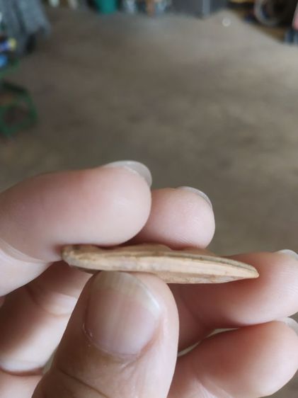 พระเนื้อดิน(พระพิมพ์พระนางพญาหลังเรียบ(ทรงแบนราบ)(230301)(ไม่ทราบพระเกจิที่สร้าง))พระบ้านพระเครื่องรางของมงคล รูปที่ 14