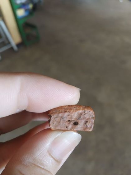 พระเนื้อดิน(พระพิมพ์พระนางพญาหลังเรียบ(200207)(ไม่ทราบพระเกจิที่สร้าง))พระบ้านพระเครื่องรางของมงคล รูปที่ 12