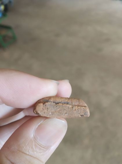 พระเนื้อดิน(พระพิมพ์พระนางพญาหลังเรียบ(ไม่สวยขอคนรับได้)(200217)(ไม่ทราบพระเกจิที่สร้าง))พระบ้านพระเครื่องรางของมงคล รูปที่ 17